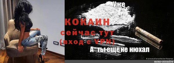 стаф Арсеньев