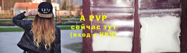 стаф Арсеньев