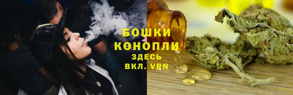 MESCALINE Аркадак