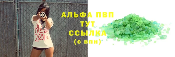 стаф Арсеньев