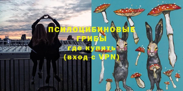 стаф Арсеньев