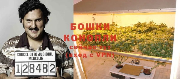 MESCALINE Аркадак