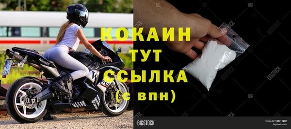 стаф Арсеньев