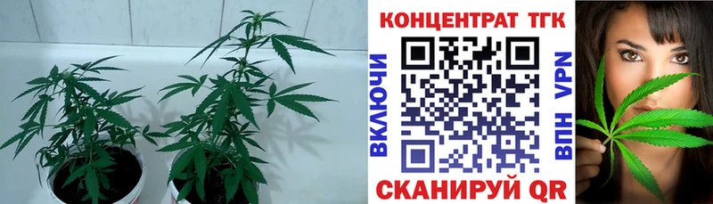 площадка какой сайт  Рузаевка  Дистиллят ТГК концентрат 